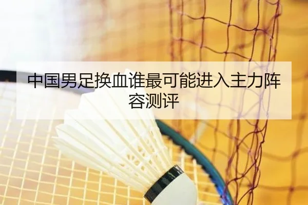 中国男足换血谁最可能进入主力阵容测评